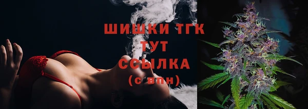 ГАЛЛЮЦИНОГЕННЫЕ ГРИБЫ Баксан