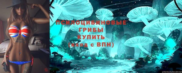 ГАЛЛЮЦИНОГЕННЫЕ ГРИБЫ Баксан