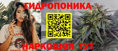 амф Лесосибирск