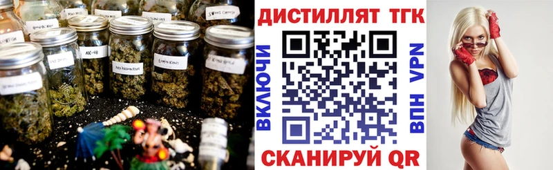 цена   Долгопрудный  даркнет официальный сайт  ТГК вейп с тгк 