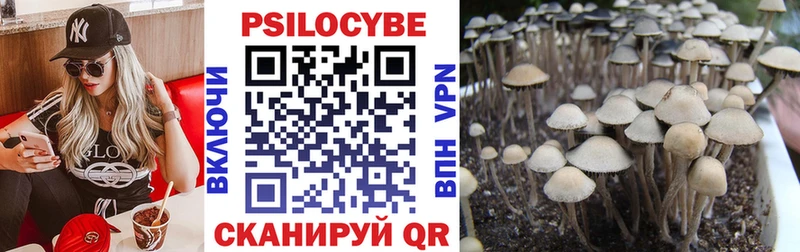 Галлюциногенные грибы ЛСД  OMG зеркало  Долгопрудный 