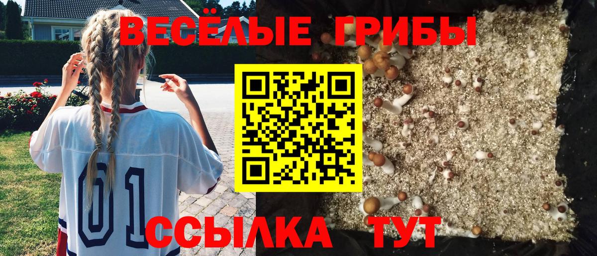Галлюциногенные грибы ЛСД Долгопрудный
