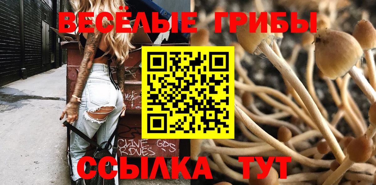 купить   Вход с VPN  Долгопрудный  Галлюциногенные грибы Magic Shrooms  Галлюциногенные грибы Psilocybine cubensis 