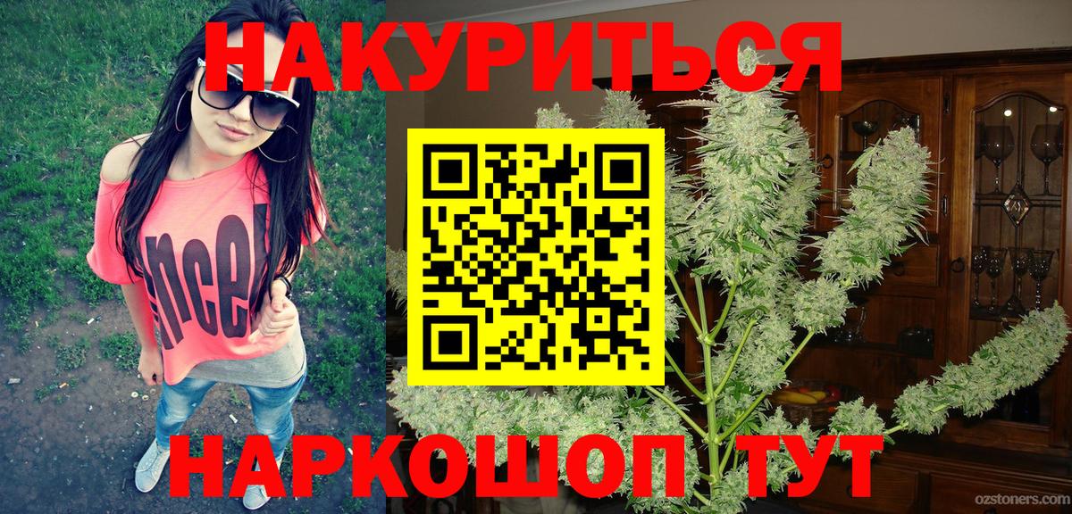 Шишки марихуана планчик  Вход с VPN  Бошки Шишки семена  Бошки Шишки VHQ  Долгопрудный  МАРИХУАНА VHQ 